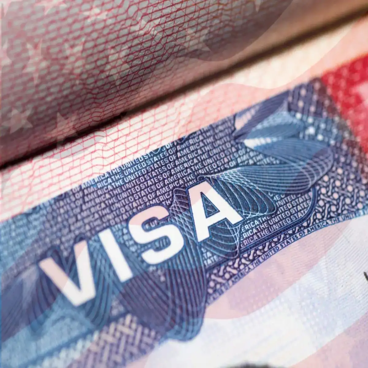 Best Immigration Law firm in Houston