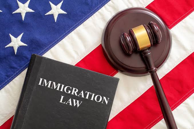 Visa & Immigration Service Lawyer in Houston